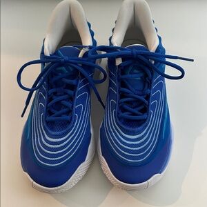 NIKE-men’s ‘Racer Blue’ GIANNIS IMMORTALITY 4 lace-up basketball sneakers, sz 8